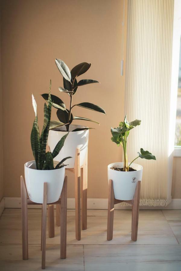 Cala Hotel Boutique San Luis Zewnętrze zdjęcie